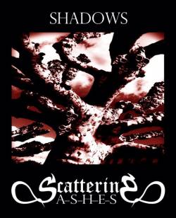 Scattering Ashes : Shadows